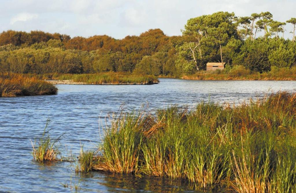 Camping Kost Ar Moor Fouesnant Eksteriør bilde